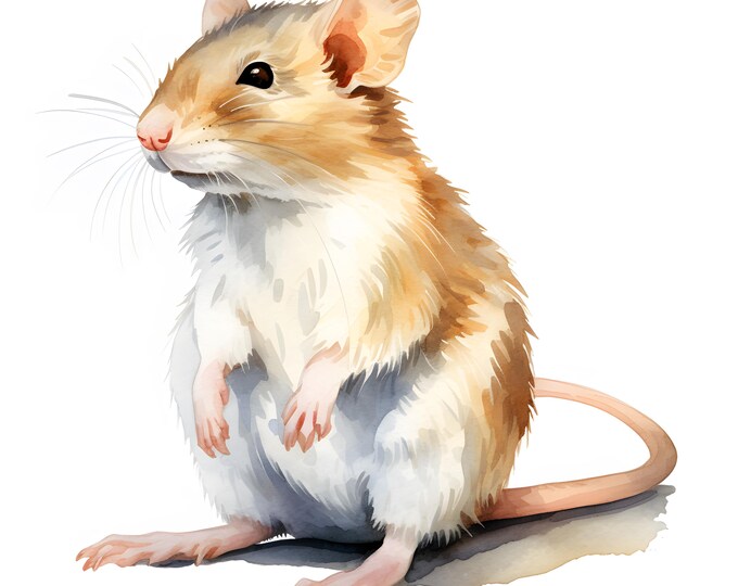 Cute Rat Clipart, Funny Rat Images, 10 Watercolor Clip Art, Printable JPGs, Instant Download, Commercial Use, Paper craft