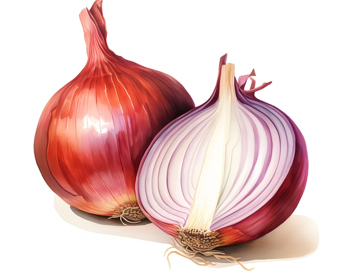 Red Onion Clipart, Farm Onion Images, 10 Watercolor Clip Art, Printable JPGs, Instant Download, Commercial Use, Paper craft
