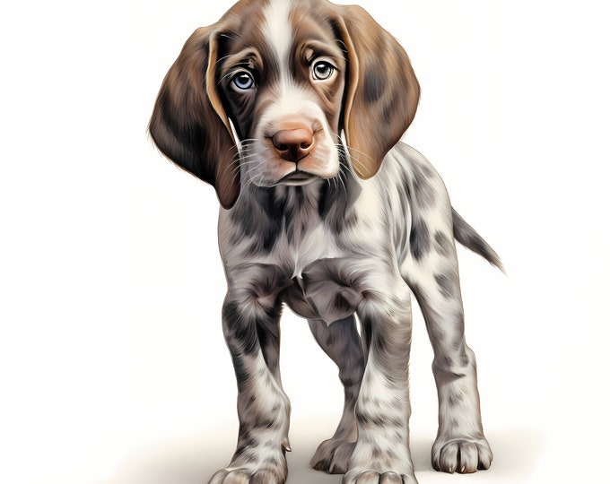 Bracco Italiano Dog Clipart, Puppy Dog Images, 10 Watercolor Clip Art, Printable JPGs, Instant Download, Commercial Use, Paper craft