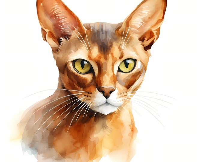 Abyssinian Cat Clipart, Adorable Kitten Images, 10 Watercolor Clip Art, Printable JPGs, Instant Download, Commercial Use, Paper craft
