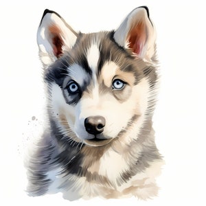 Siberian Husky Clipart, Husky Dog Images, 10 Watercolor Clip Art, Printable JPGs, Instant Download, Commercial Use, Paper craft