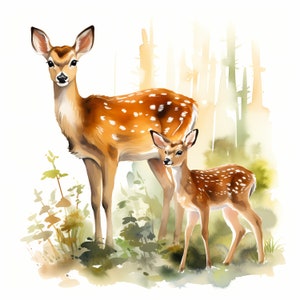 Clipart hert met baby, reekalf in bosafbeeldingen, 10 aquarelillustraties, afdrukbare JPG's, Instant Download, Commercieel gebruik, Papercraft
