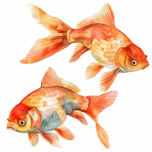 Goldfish Clipart, Gold Fish Images, 10 Watercolor Clip Art, Printable JPGs, Instant Download, Commercial Use, Paper craft