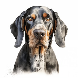 Bluetick Coonhound-clipart, Coonhound-hondafbeeldingen, 10 aquarel-illustraties, afdrukbare JPG's, Instant Download, Commercieel gebruik, Papercraft