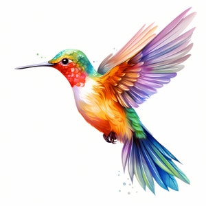 Clipart kolibrie, schattige Colibri-afbeeldingen, 10 aquarel-illustraties, afdrukbare JPG's, Instant Download, Commercieel gebruik, Papercraft