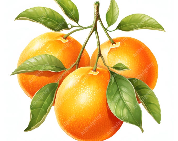 Oranges Clipart, Orange Branch Images, 10 Watercolor Clip Art, Printable JPGs, Instant Download, Commercial Use, Paper craft
