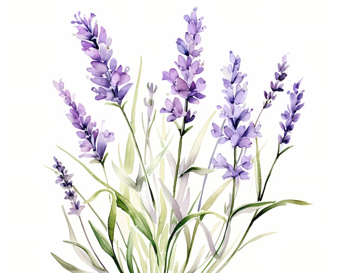 Lavander Clipart, Purple Flowers Images, 10 Watercolor Clip Art, Printable JPGs, Instant Download, Commercial Use, Paper craft