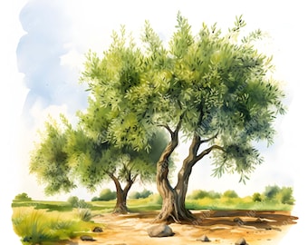 Watercolor Olive Trees Clipart: Ancient Tree Images (JPGs, Commercial Use)