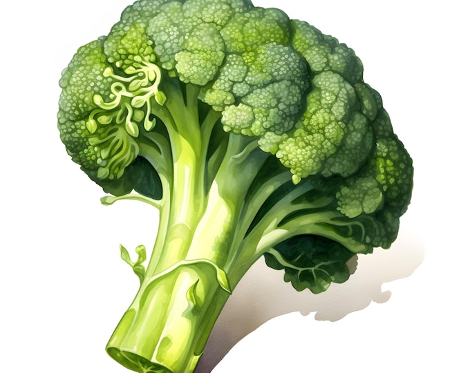 Broccoli Clipart, Green Vegetables Images, 10 Watercolor Clip Art, Printable JPGs, Instant Download, Commercial Use, Paper craft