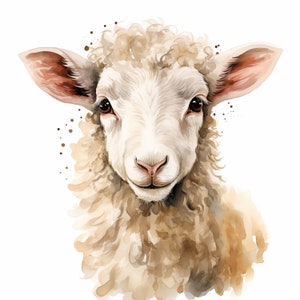 Op de afbeelding: Een aquarel van een wit schaap met bruine vacht rond zijn gezicht en nek. Het schaap heeft een lieve uitdrukking en kijkt recht naar de kijker.