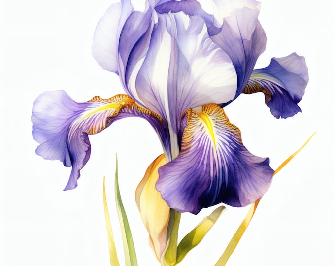 Wild Iris Flower Clipart, Purple Bloom Images, 10 Watercolor Clip Art, Printable JPGs, Instant Download, Commercial Use, Paper craft
