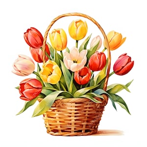 Tulips Basket Clipart, Basket of Tulips Images, 10 Watercolor Clip Art, Printable JPGs, Instant Download, Commercial Use, Paper craft