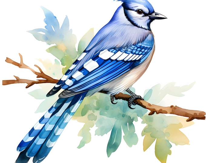 Bluejay Bird Clipart, Blue Jay Images, 10 Watercolor Clip Art, Printable JPGs, Instant Download, Commercial Use, Paper craft