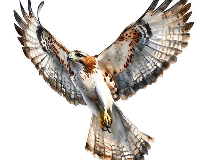 Hawk Clipart, Flying Hawk Images, 10 Watercolor Clip Art, Printable JPGs, Instant Download, Commercial Use, Paper craft