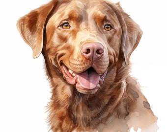 Chesapeake Bay Retriever Clipart, Dog Images, 10 Watercolor Clip Art, Printable JPGs, Instant Download, Commercial Use, Paper craft