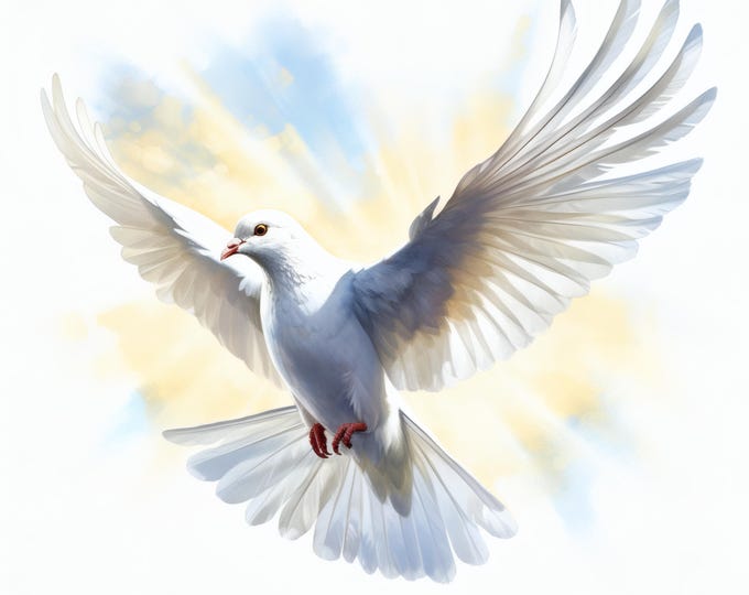 White Dove Clipart, Peace Bird Images, 10 Watercolor Clip Art, Printable JPGs, Instant Download, Commercial Use, Paper craft