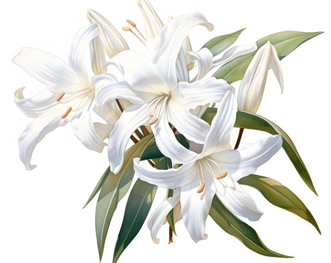 Vanilla Clipart, Vanilla Flowers Images, 10 Watercolor Clip Art, Printable JPGs, Instant Download, Commercial Use, Paper craft