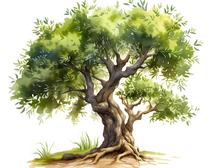 Olive Clipart, Olive Tree Images, 10 Watercolor Clip Art, Printable JPGs, Instant Download, Commercial Use, Paper craft