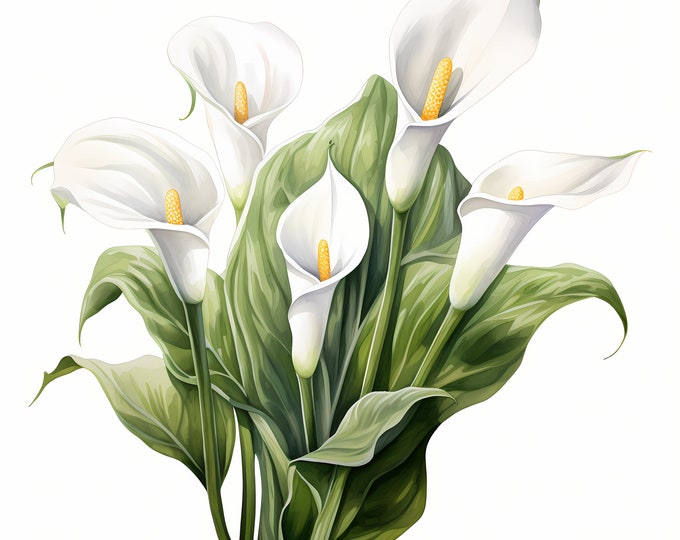 Calla Lillies Clipart, White Calla Lily Flowers Images, 10 Watercolor Clip Art, Printable JPG, Instant Download, Commercial Use, Paper craft
