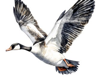 Watercolor Flying Goose Clipart: Farmhouse Printable Images (JPGs)