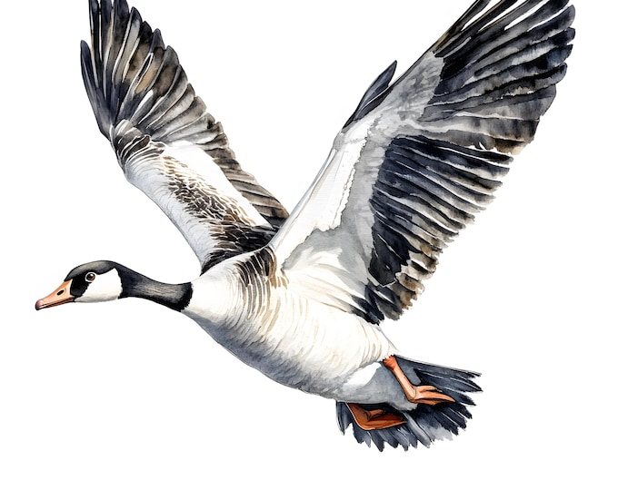 Goose Clipart, Flying Goose Images, 10 Watercolor Clip Art, Printable JPGs, Instant Download, Commercial Use, Paper craft