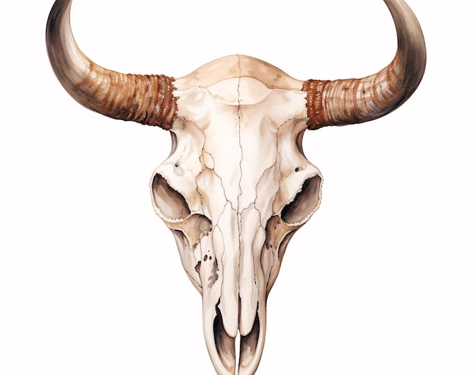 Watercolor Bull Skull Clipart: Longhorn Steer Head JPGs (Commercial Use, Digital Download)