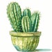 Cactus Clipart, Cactus in Pot Images, 10 Watercolor Clip Art, Printable ...