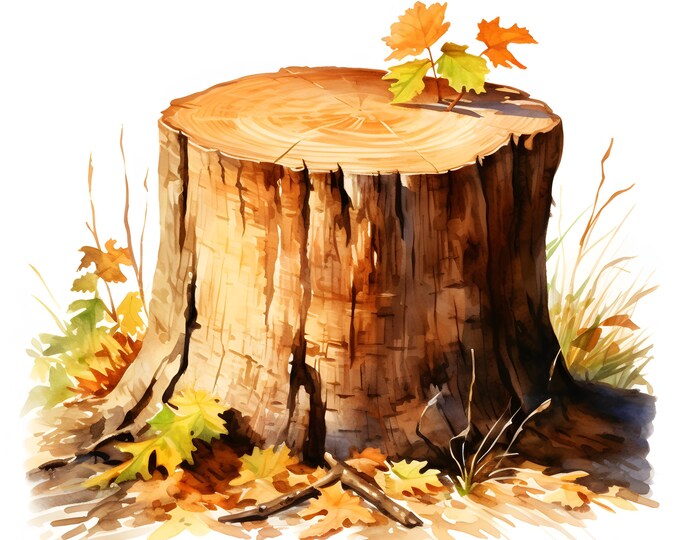 Autumn Stump Clipart, Autumn Wood Stump Images, 10 Watercolor Clip Art, Printable JPGs, Instant Download, Commercial Use, Paper craft