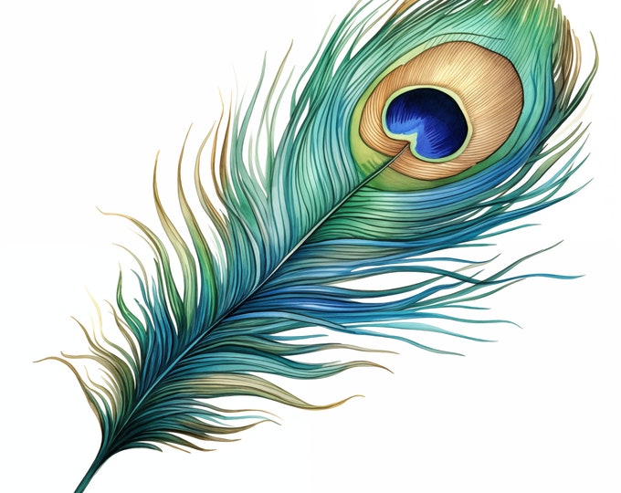 Feather Clipart, Peacock Feather Images, 10 Watercolor Clip Art, Printable JPGs, Instant Download, Commercial Use, Paper craft
