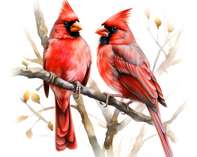 Red Cardinals Clipart, Cardinals Bird Images, 10 Watercolor Clip Art, Printable JPGs, Instant Download, Commercial Use, Paper craft