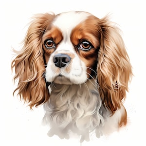 Imágenes de Cavalier King Charles Spaniel, imágenes de cachorros, 10 imágenes prediseñadas de acuarela, archivos JPG imprimibles, descarga instantánea, uso comercial