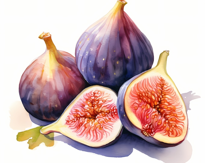 Fig Clipart, Fig Fruit Images, 10 Watercolor Clip Art, Printable JPGs, Instant Download, Commercial Use, Paper craft