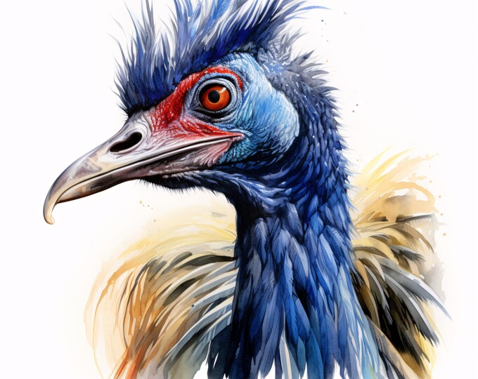 Watercolor Cassowary Clipart: Tropical Bird JPG Images (Commercial Use, Instant Download)