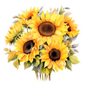 Clipart tournesols, images de bouquet de tournesols, 10 images clipart aquarelle, fichiers JPG imprimables, téléchargement immédiat, usage commercial, créations en papier