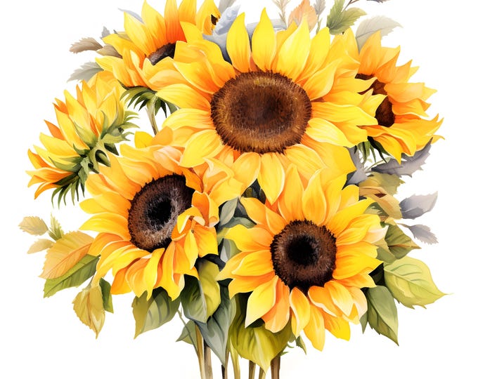 Sunflowers Clipart, Sunflower Bouquet Images, 10 Watercolor Clip Art, Printable JPGs, Instant Download, Commercial Use, Paper craft
