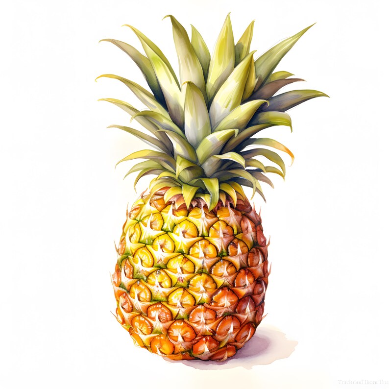 Clipart de piña en acuarela: 10 imágenes de frutas imprimibles (JPG ...