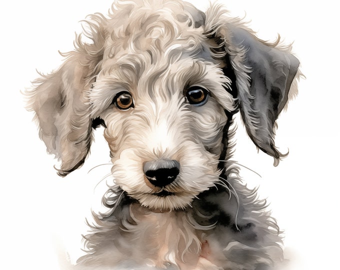 Bedlington Terrier Dog Clipart, Puppy Dog Images, 10 Watercolor Clip Art, Printable JPGs, Instant Download, Commercial Use, Paper craft