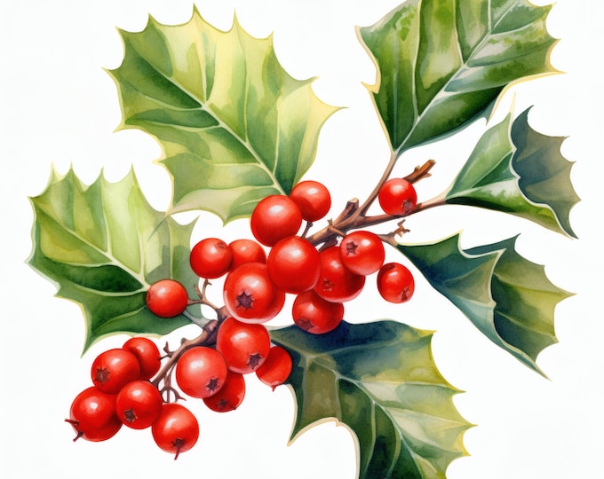Holly Berry Clipart, Christmas Botanical Images, 10 Watercolor Clip Art, Printable JPGs, Instant Download, Commercial Use, Paper Craft
