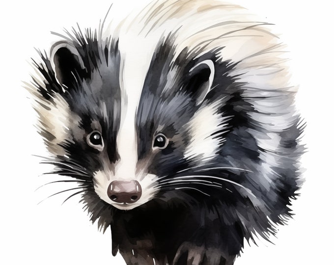 Skunk Clipart, Baby Skunk Images, 10 Watercolor Clip Art, Printable JPGs, Instant Download, Commercial Use, Paper craft