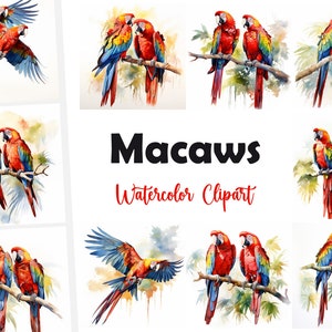 Ara Clipart, Papageien Bilder, 10 Aquarell Clip Art, druckbare JPGs, Sofort Download, kommerzielle Nutzung, Papiermodell