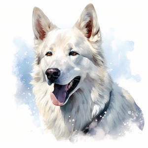 Weisser Schäferhund Clipart, verschneiter Schäferhund, 10 Aquarell Clip Art, druckbare JPGs, Sofort Download, kommerzielle Nutzung