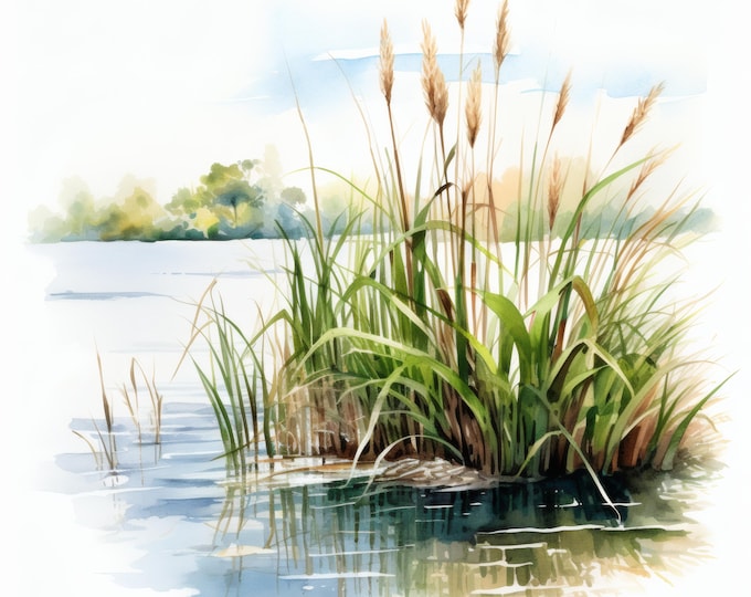 River Reeds Clipart, Waterside Plant Images, 10 Watercolor Clip Art, Printable JPGs, Instant Download, Commercial Use, Paper craft