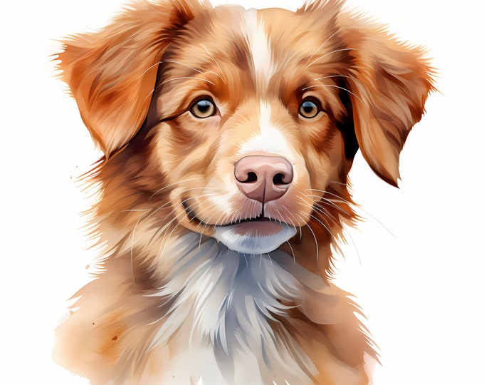 Nova Scotia Duck Tolling Retriever Clipart, Puppy Dog Images, 10 Watercolor Clip Art, Printable JPGs, Instant Download, Commercial Use