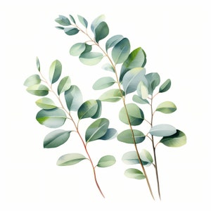 Eucalyptus Clipart, Eucalyptus Leaves Images, 10 Watercolor Clip Art, Printable JPGs, Instant Download, Commercial Use, Paper craft