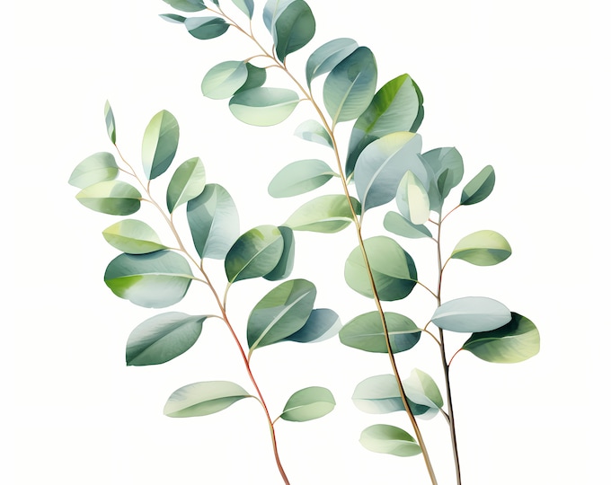 Eucalyptus Clipart, Eucalyptus Leaves Images, 10 Watercolor Clip Art, Printable JPGs, Instant Download, Commercial Use, Paper craft