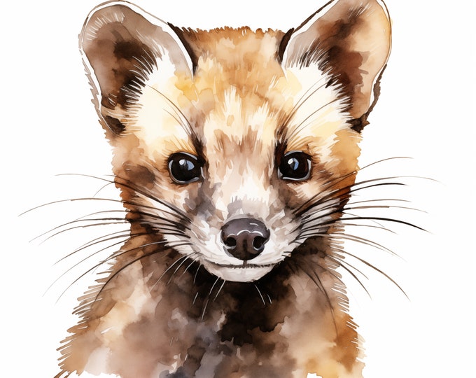 Marten Clipart, Pine Marten Images, 10 Watercolor Clip Art, Printable JPGs, Instant Download, Commercial Use, Paper craft