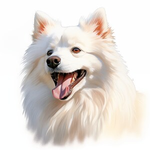 Eskimo Dog Clipart, American Eskimo Dog Images, 10 Watercolor Clip Art, Printable JPGs, Instant Download, Commercial Use, Paper craft