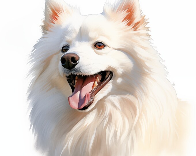 Eskimo Dog Clipart, American Eskimo Dog Images, 10 Watercolor Clip Art, Printable JPGs, Instant Download, Commercial Use, Paper craft