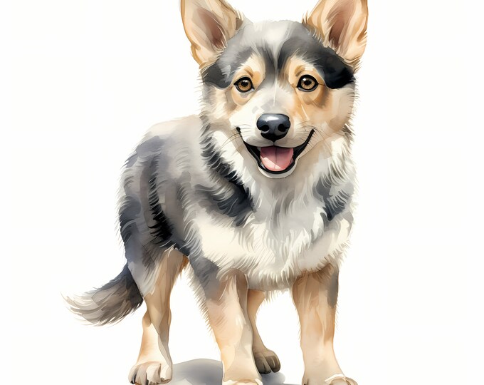 Swedish Vallhund Dog Clipart, Puppy Dog Images, 10 Watercolor Clip Art, Printable JPGs, Instant Download, Commercial Use, Paper craft