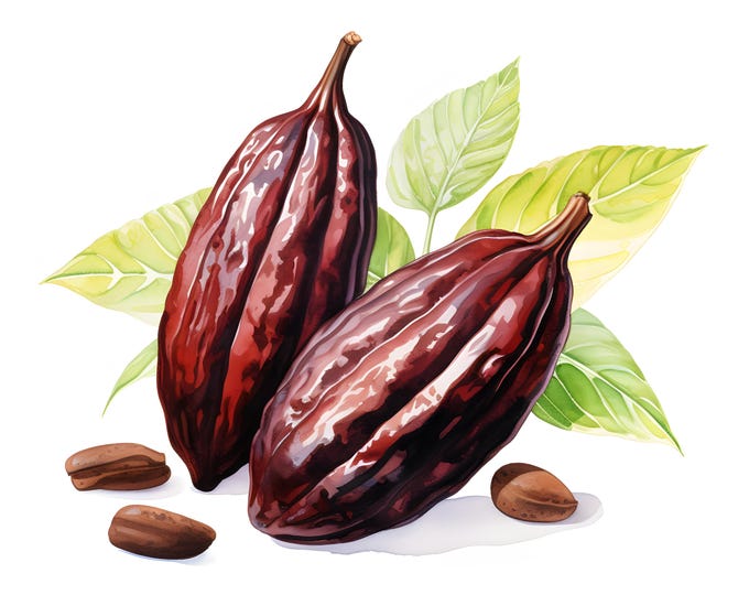 Cocoa Clipart, Botanical Cocoa Images, 10 Watercolor Clip Art, Printable JPGs, Instant Download, Commercial Use, Paper craft